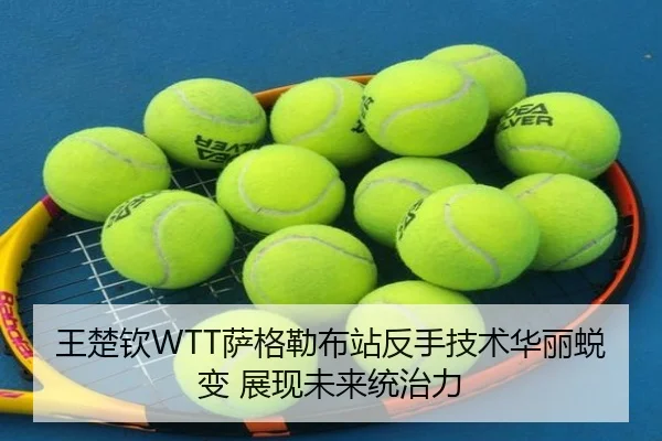 wang-chu-qin-sa-ge-lei-bu-zhan-fan-shou-ji-shu-hua-li-tui-bian-zhan-xian-wei-lai-tong-zhi-li-1-443.jpg